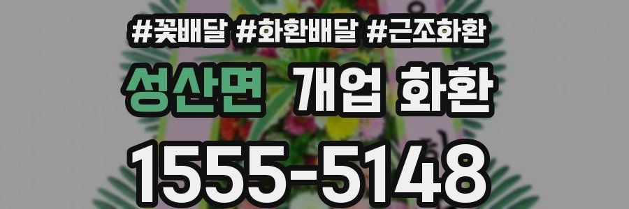 성산면 개업 화환
