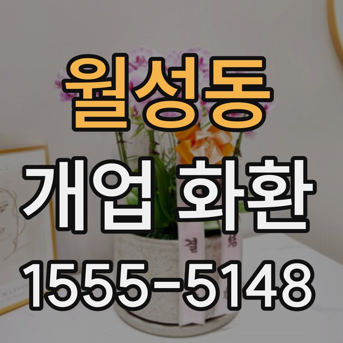 월성동 개업 화환