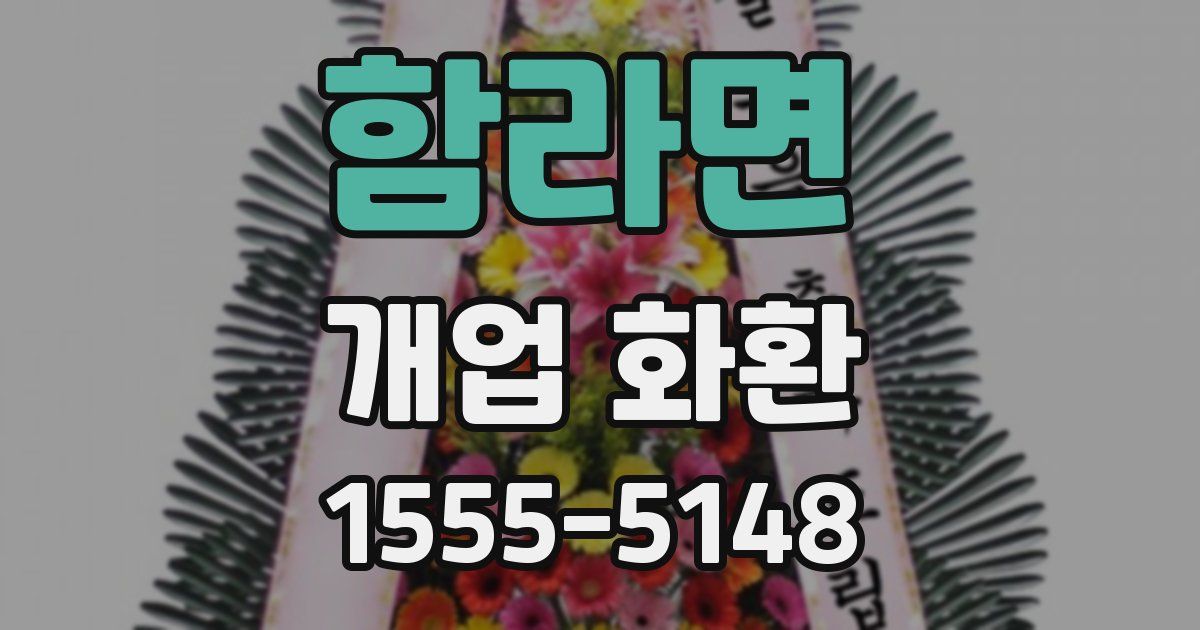 함라면 개업 화환
