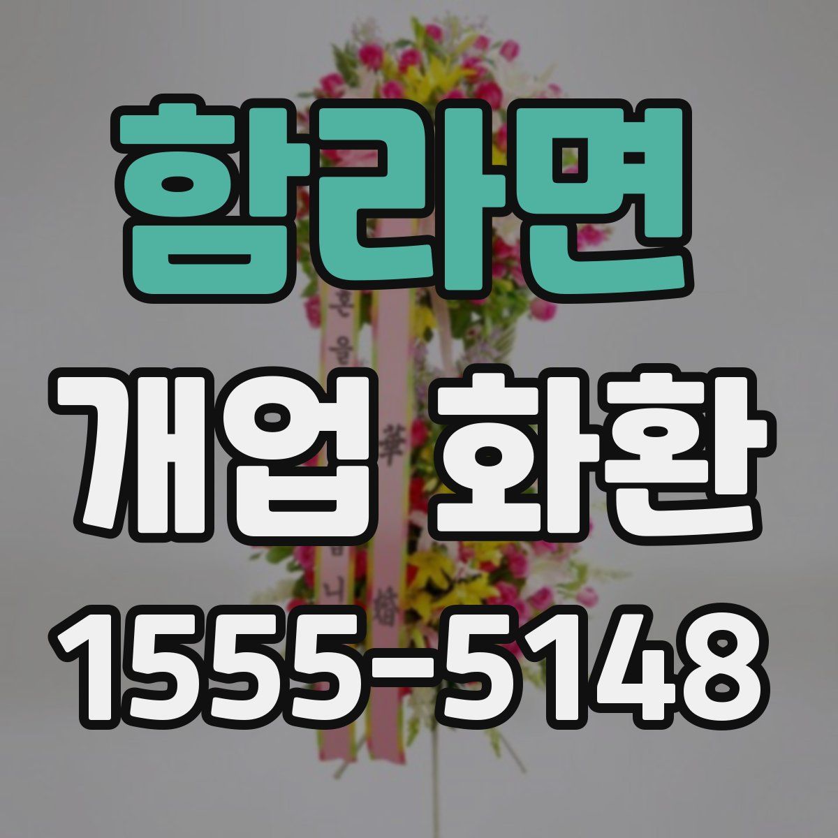 함라면 개업 화환