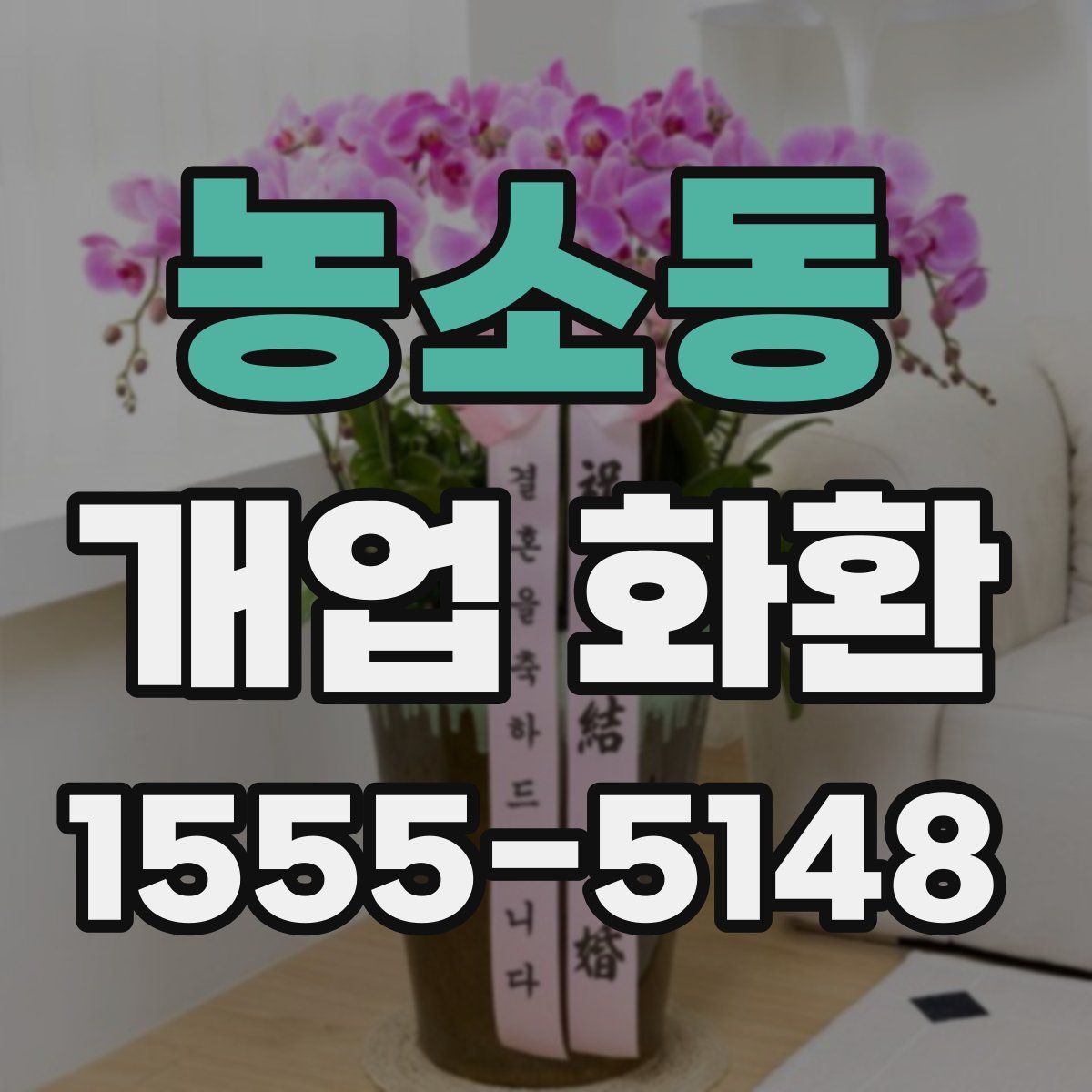 농소동 개업 화환