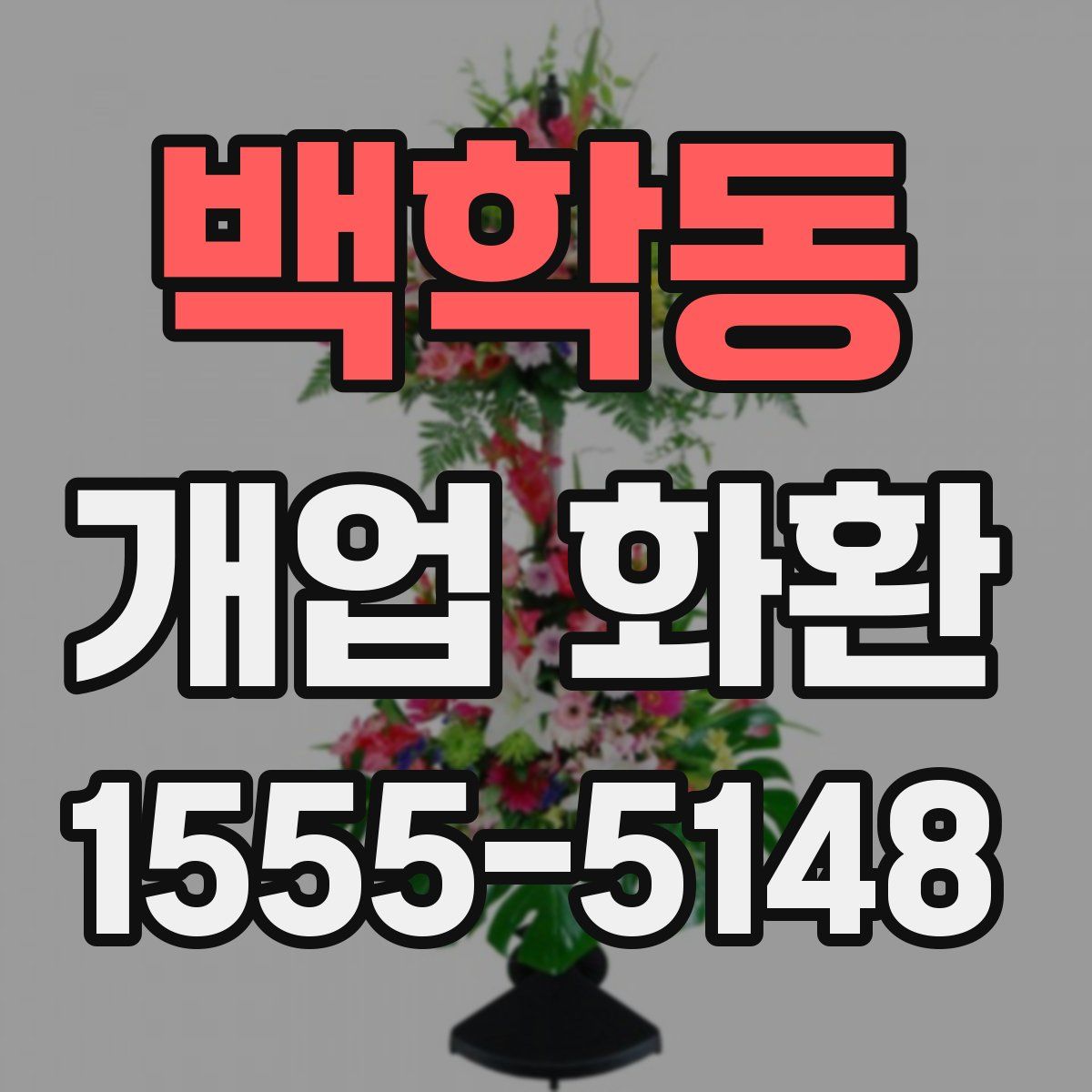 백학동 개업 화환