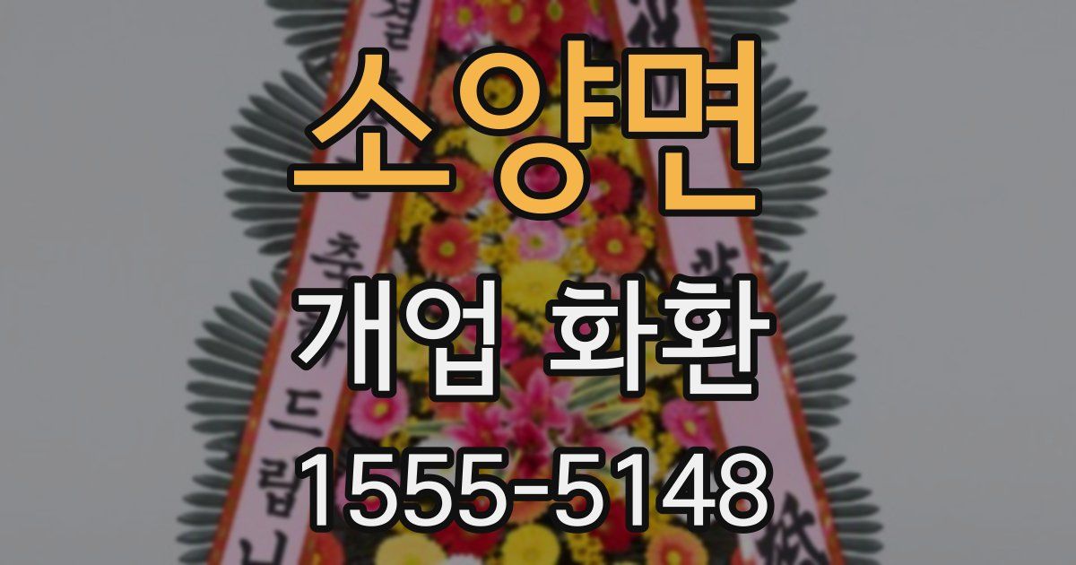 소양면 개업 화환