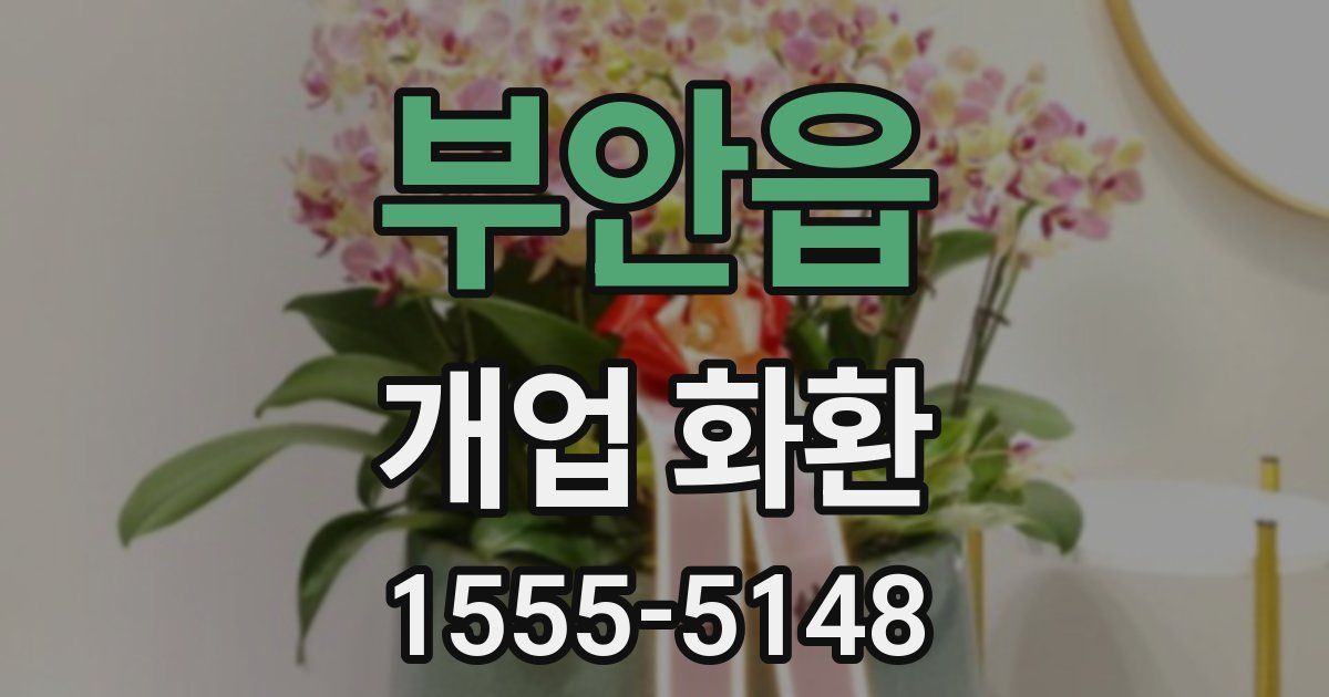 부안읍 개업 화환