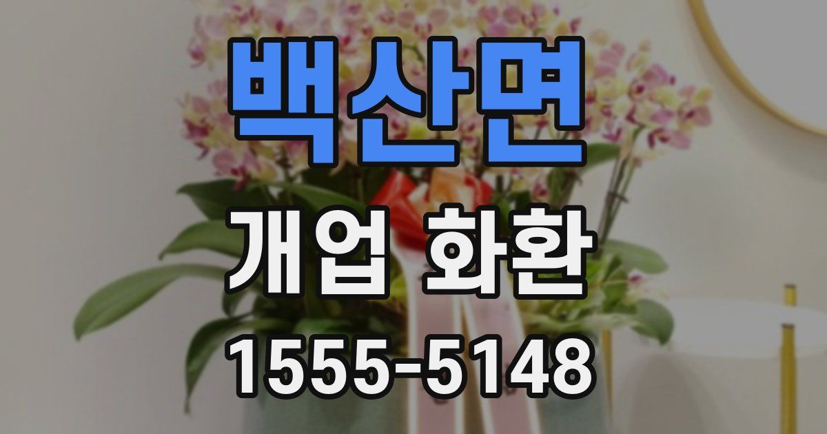 백산면 개업 화환