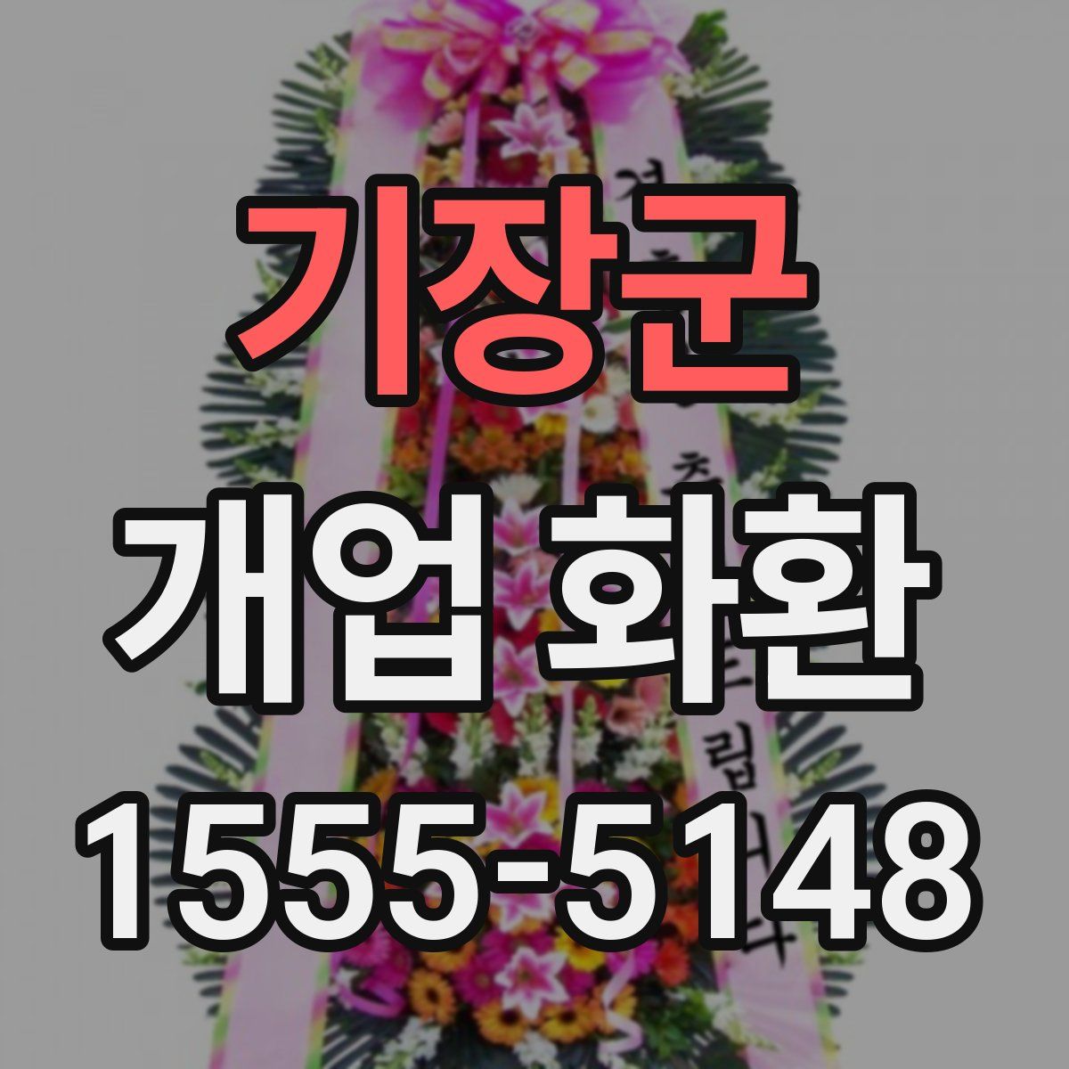 기장군 개업 화환