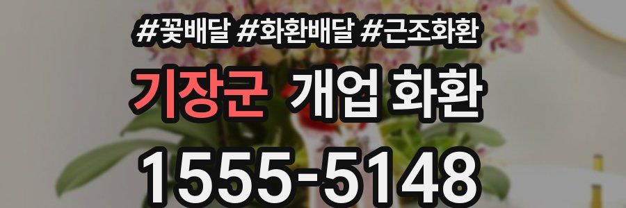 기장군 개업 화환