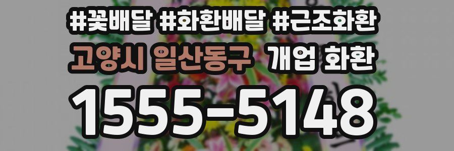 고양시 일산동구 개업 화환