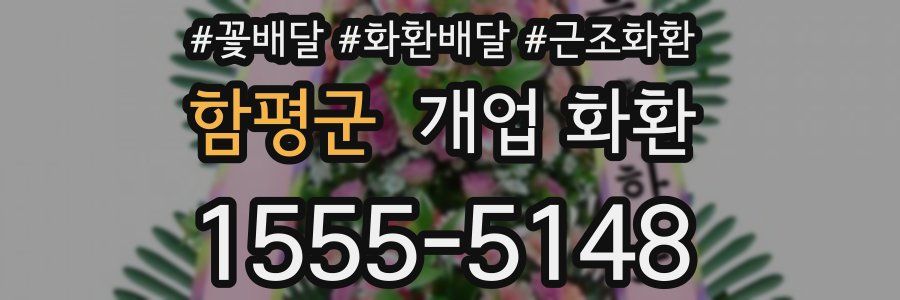 함평군 개업 화환