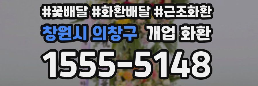창원시 의창구 개업 화환