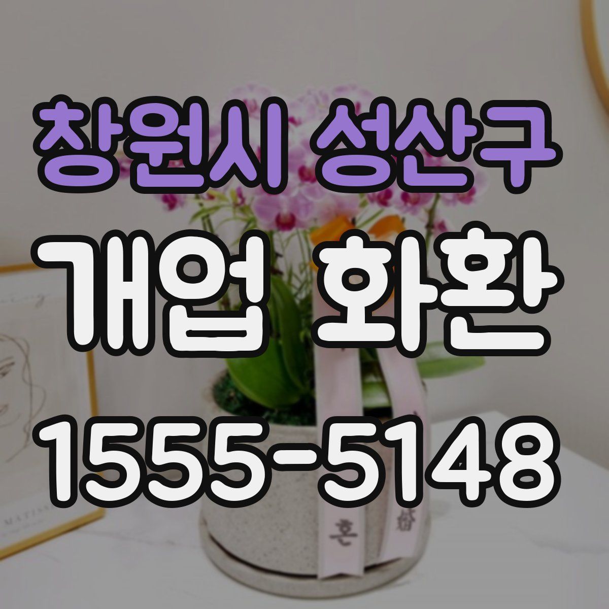 창원시 성산구 개업 화환