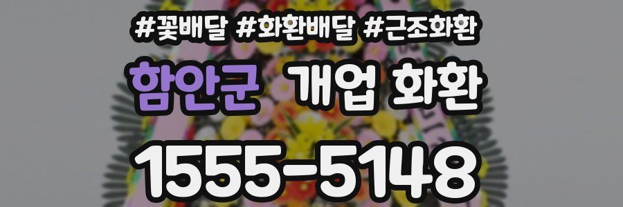 함안군 개업 화환