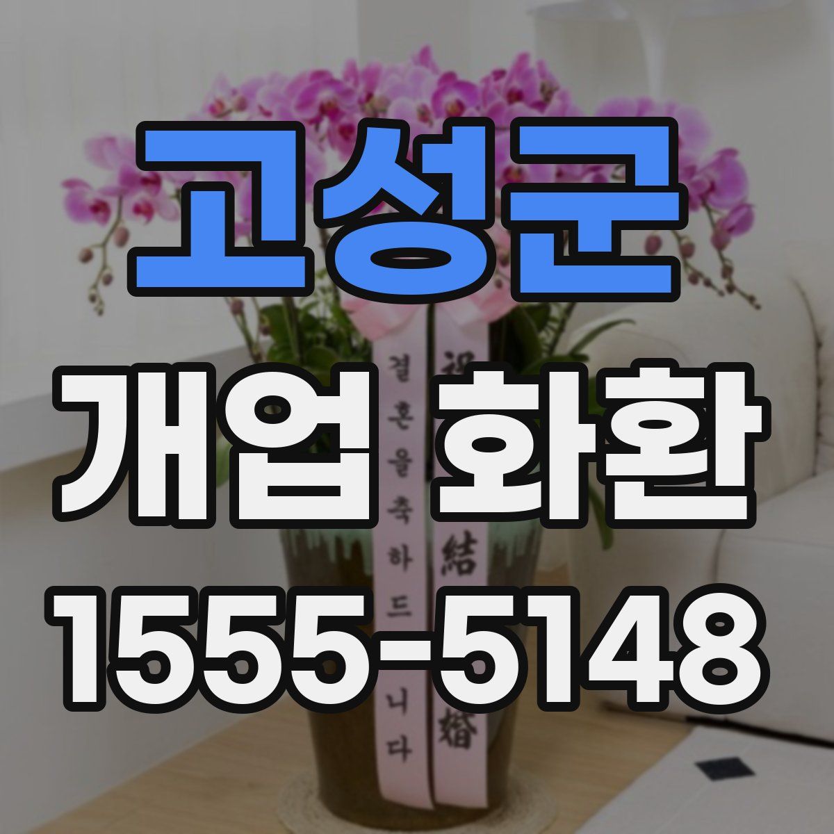 고성군 개업 화환