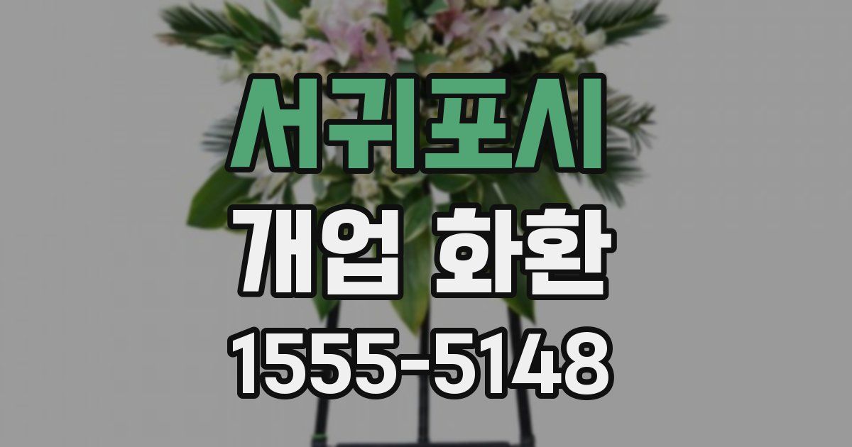 서귀포시 개업 화환