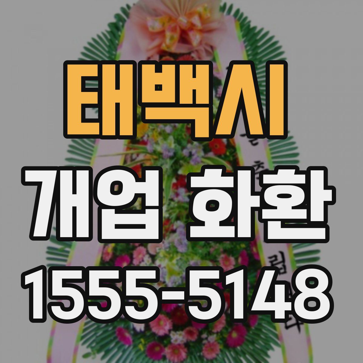 태백시 개업 화환