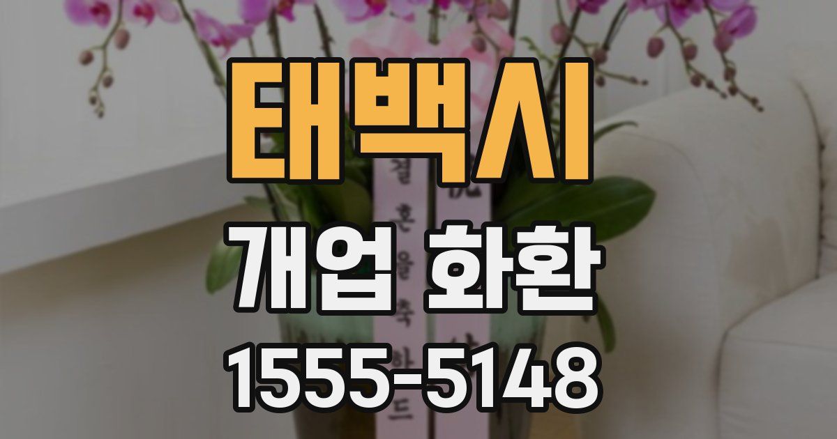 태백시 개업 화환