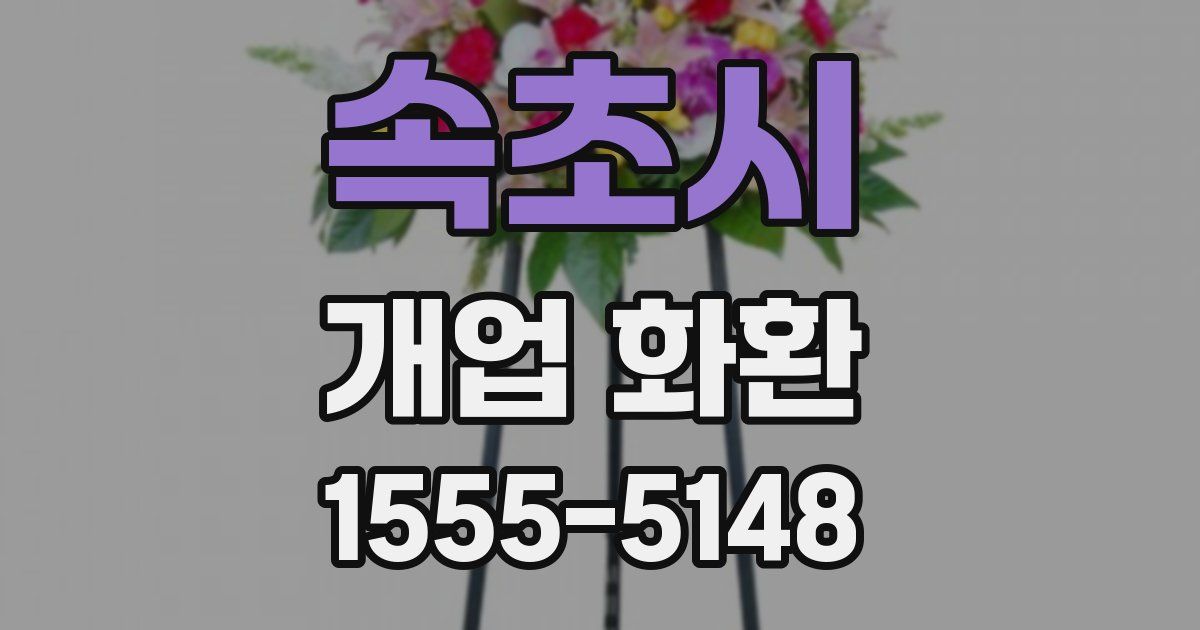 속초시 개업 화환