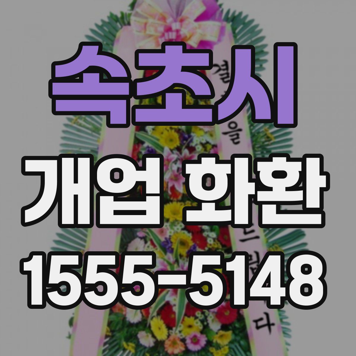 속초시 개업 화환