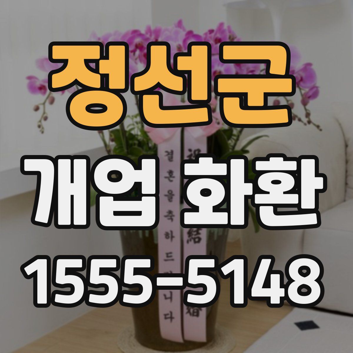 정선군 개업 화환
