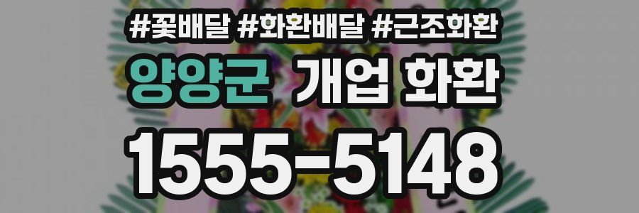 양양군 개업 화환