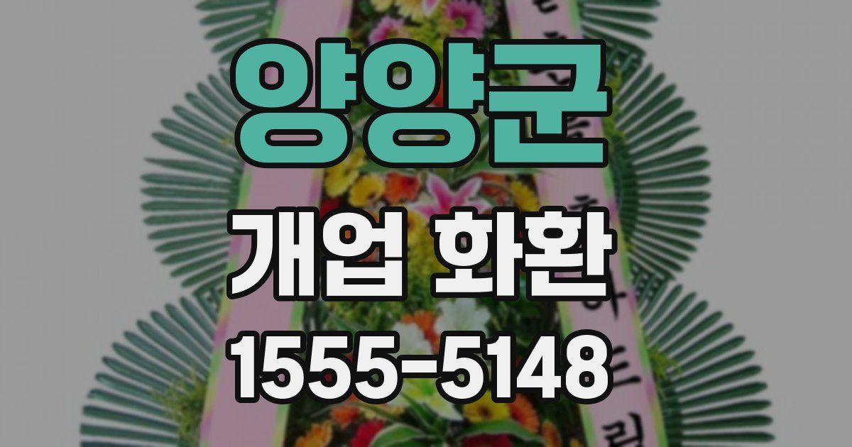 양양군 개업 화환