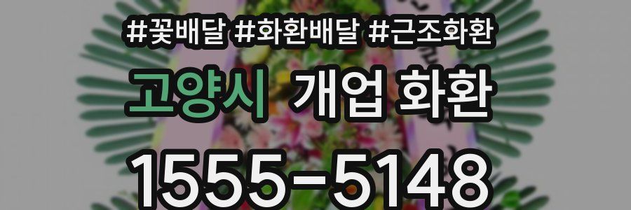고양시 개업 화환