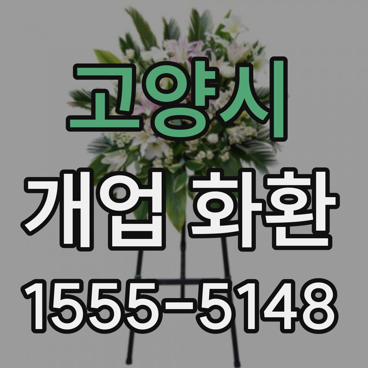 고양시 개업 화환