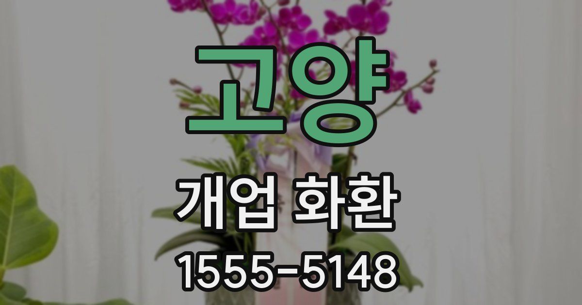 고양 개업 화환