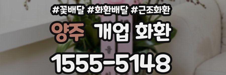 양주 개업 화환
