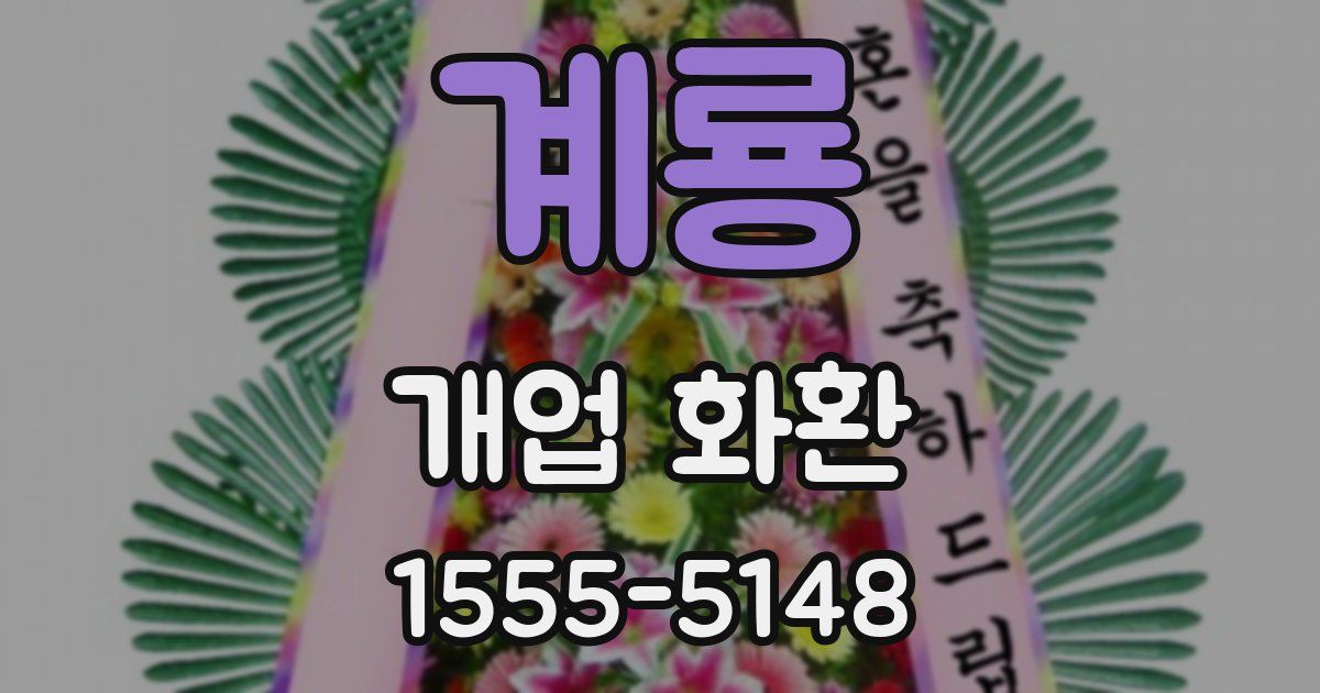 계룡 개업 화환