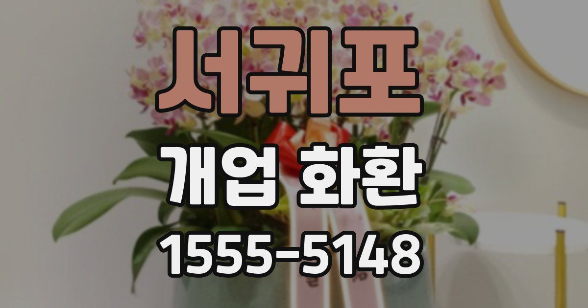 서귀포 개업 화환