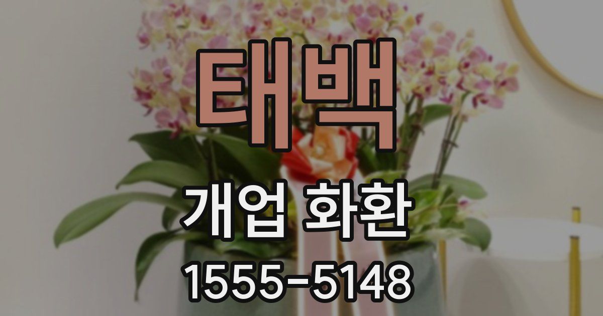 태백 개업 화환
