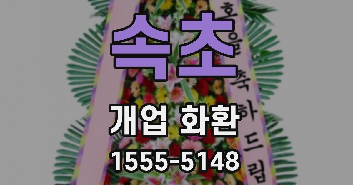 속초 개업 화환