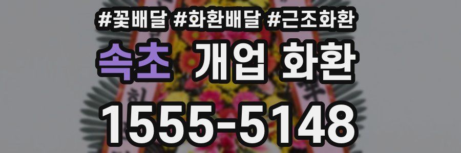속초 개업 화환