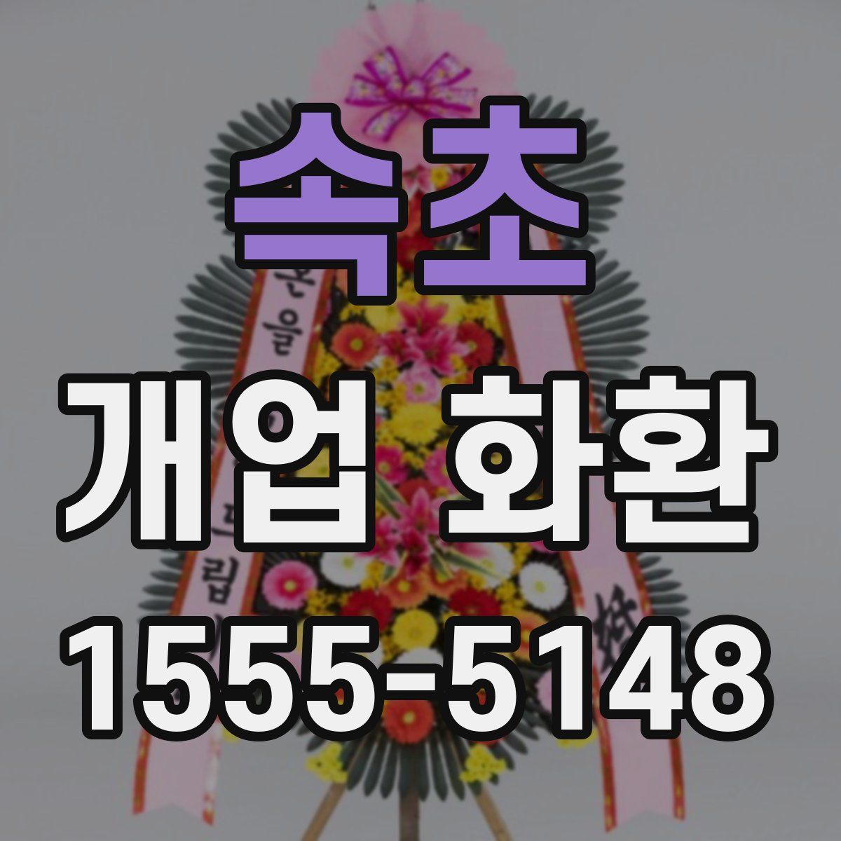 속초 개업 화환