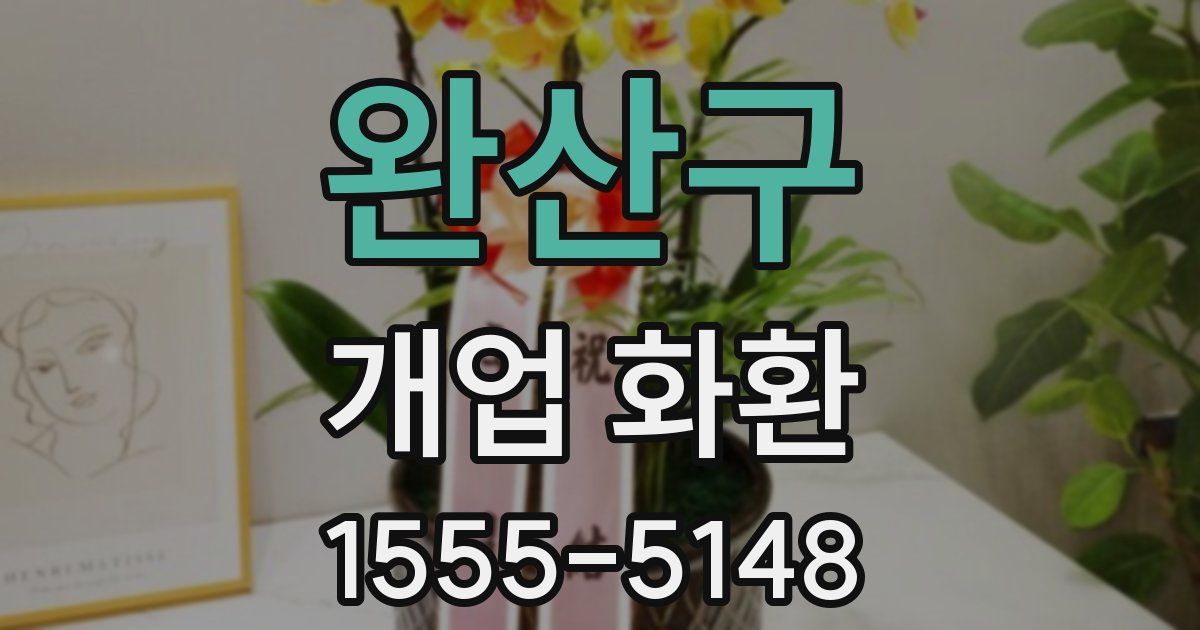 완산구 개업 화환