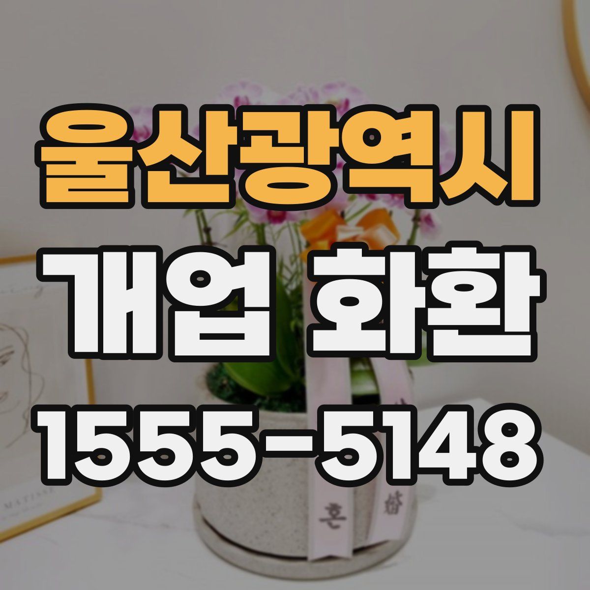 울산광역시 개업 화환