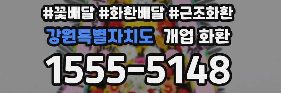 강원특별자치도 개업 화환