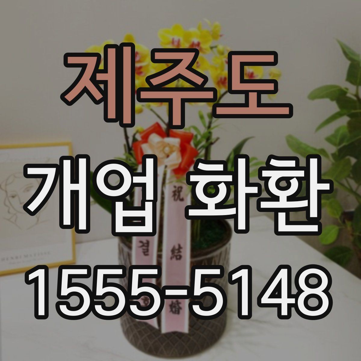 제주도 개업 화환 화려함보다 균형이 중요한 이유