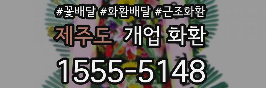 제주도 개업 화환