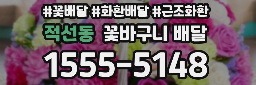 적선동 꽃바구니 배달