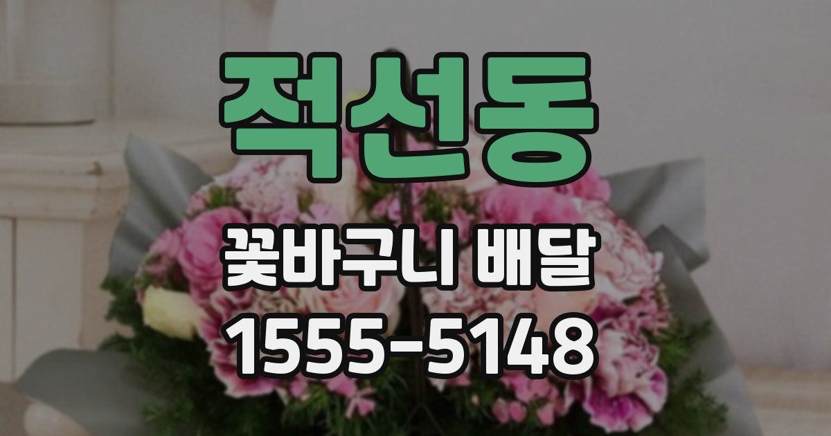 적선동 꽃바구니 배달