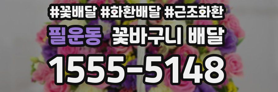 필운동 꽃바구니 배달