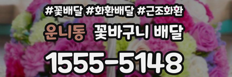 운니동 꽃바구니 배달