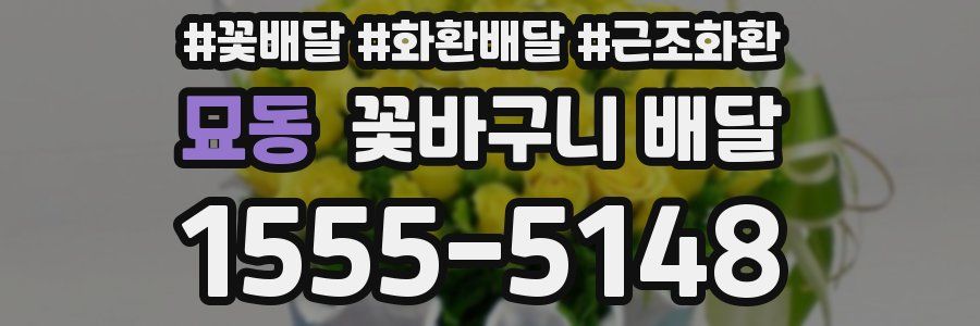 묘동 꽃바구니 배달