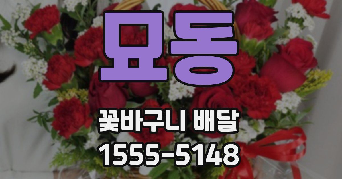 묘동 꽃바구니 배달