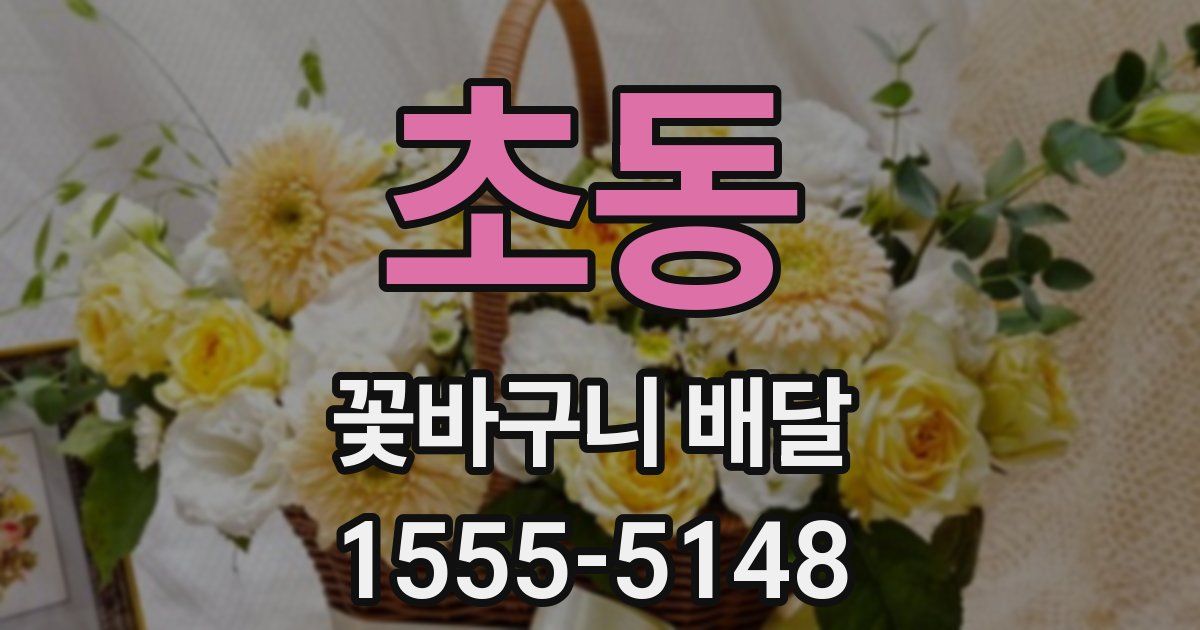 초동 꽃바구니 배달