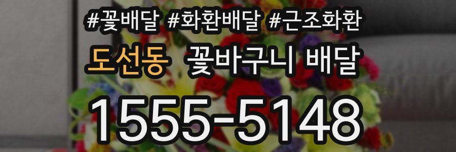도선동 꽃바구니 배달