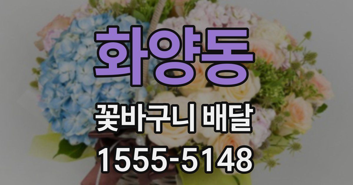 화양동 꽃바구니 배달