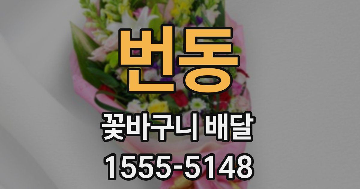 번동 꽃바구니 배달